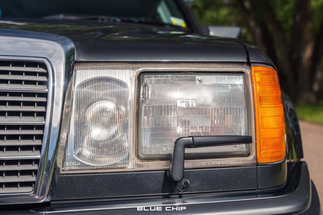 6491e8c147c58a97fd445296_DSC_3317 Large.jpeg