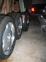 IMG_9388.jpg