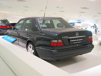IMG_9737.JPG