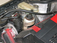 IMG_8797.JPG