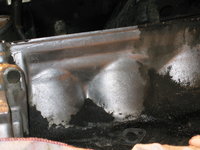 IMG_8220.jpeg