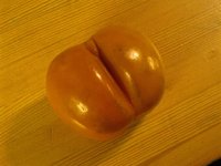 Norwegian peach.JPG