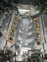 IMG_8840.jpeg