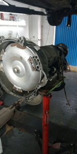 IMG_20200411_193359.jpg