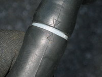 IMG_8929.jpeg
