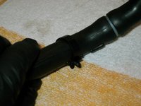 IMG_8953.jpeg