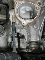IMG_9125.jpeg