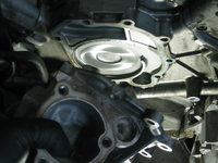 IMG_9127.jpeg