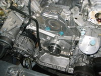 IMG_9135.jpeg