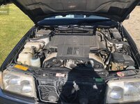 Screen Shot 2020-05-04 at 10.46.25 AM.jpg