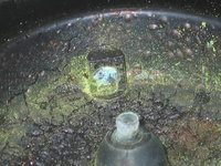 IMG_1437.jpeg