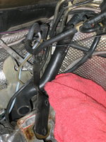 IMG_9329.jpeg
