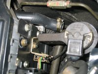 IMG_9438.jpeg