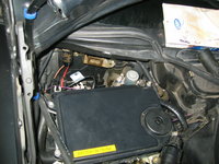 IMG_9449.jpeg