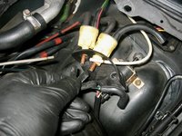 IMG_9476.jpeg