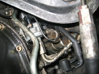 IMG_9494.jpeg