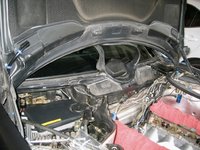 IMG_9540.jpeg