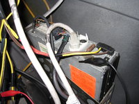 IMG_7462.JPG