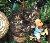 DSC_0009.jpg DSC_0009.jpg