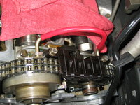 IMG_9575.jpeg