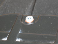 IMG_9590.jpeg