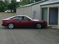 Shark0620_02.jpg