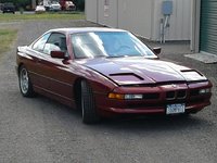 Shark0620_03.jpg