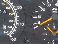 IMG_9750.jpeg