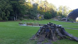 20200715_190320.jpg 20200715_190320.jpg