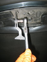 IMG_0085.jpeg
