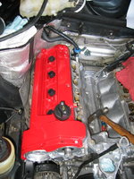 IMG_0170.jpeg
