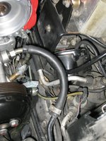 IMG_0206.jpeg