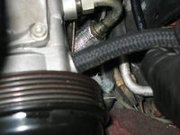 IMG_0214.jpeg