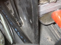 IMG_0329.jpeg