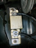 IMG_0363.jpeg