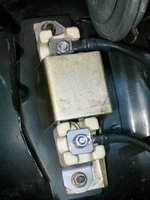 IMG_0364.jpeg