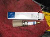 IMG_0842.jpeg