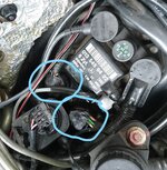 ezl plugs.jpg