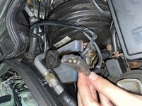 36EA625D-EAF0-41C6-A244-C9423AD0AE0C.jpeg 36EA625D-EAF0-41C6-A244-C9423AD0AE0C.jpeg