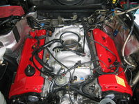 IMG_0991.jpeg