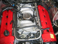 IMG_1018.jpeg