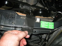 IMG_1055.jpeg