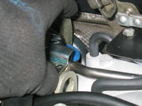 IMG_1079.jpeg