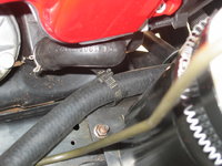 IMG_1099.jpeg