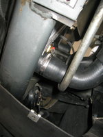 IMG_1104.jpeg