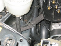 IMG_1112.jpeg