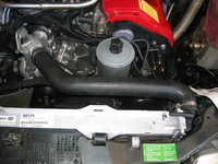 IMG_1118.jpeg
