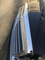880B85BC-5FFD-4F62-ADFC-848E1ED393E1.jpeg