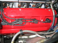 IMG_1130.jpeg