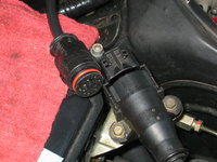 IMG_1164.jpeg